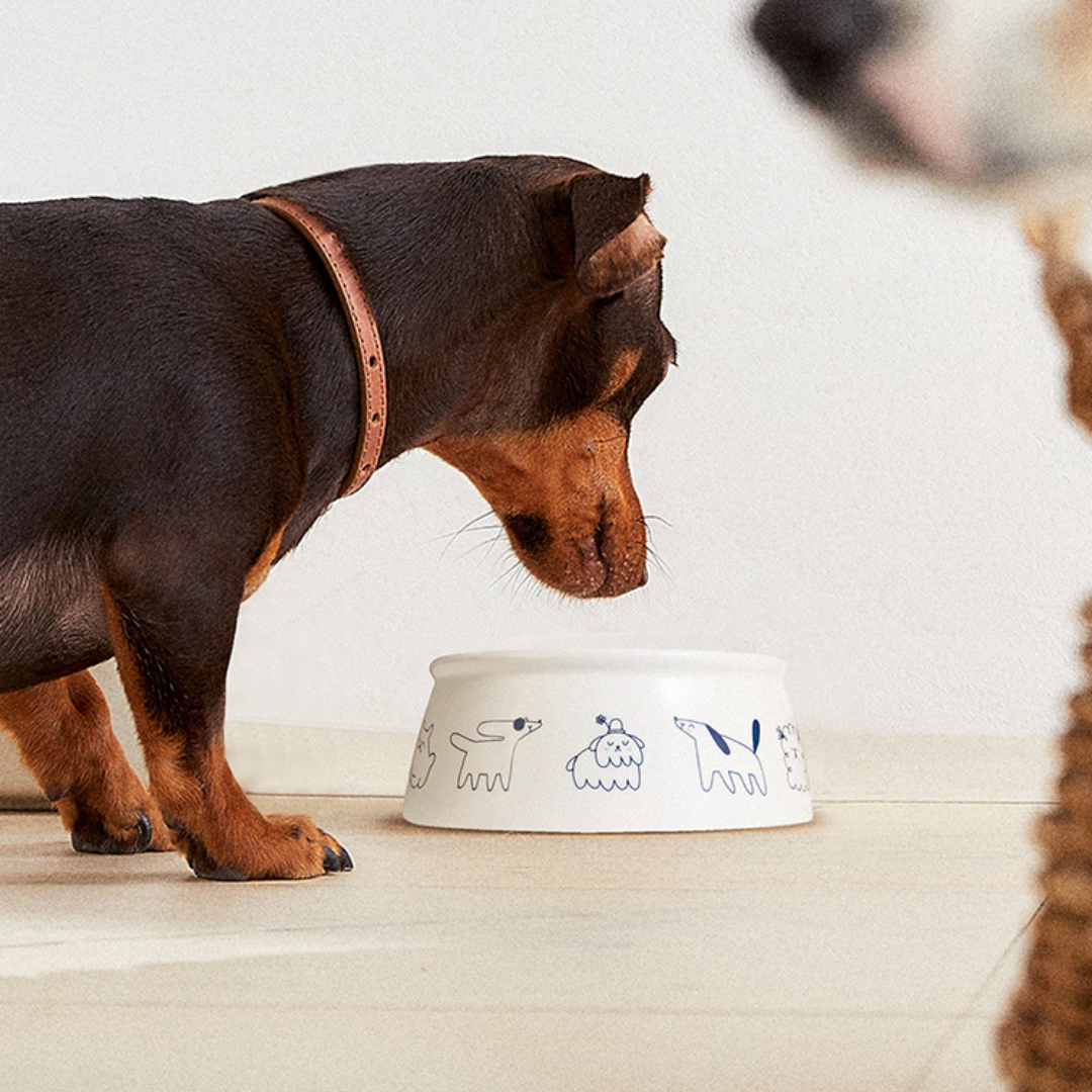 AMO PETRIC - Pet Ceramic Bowl