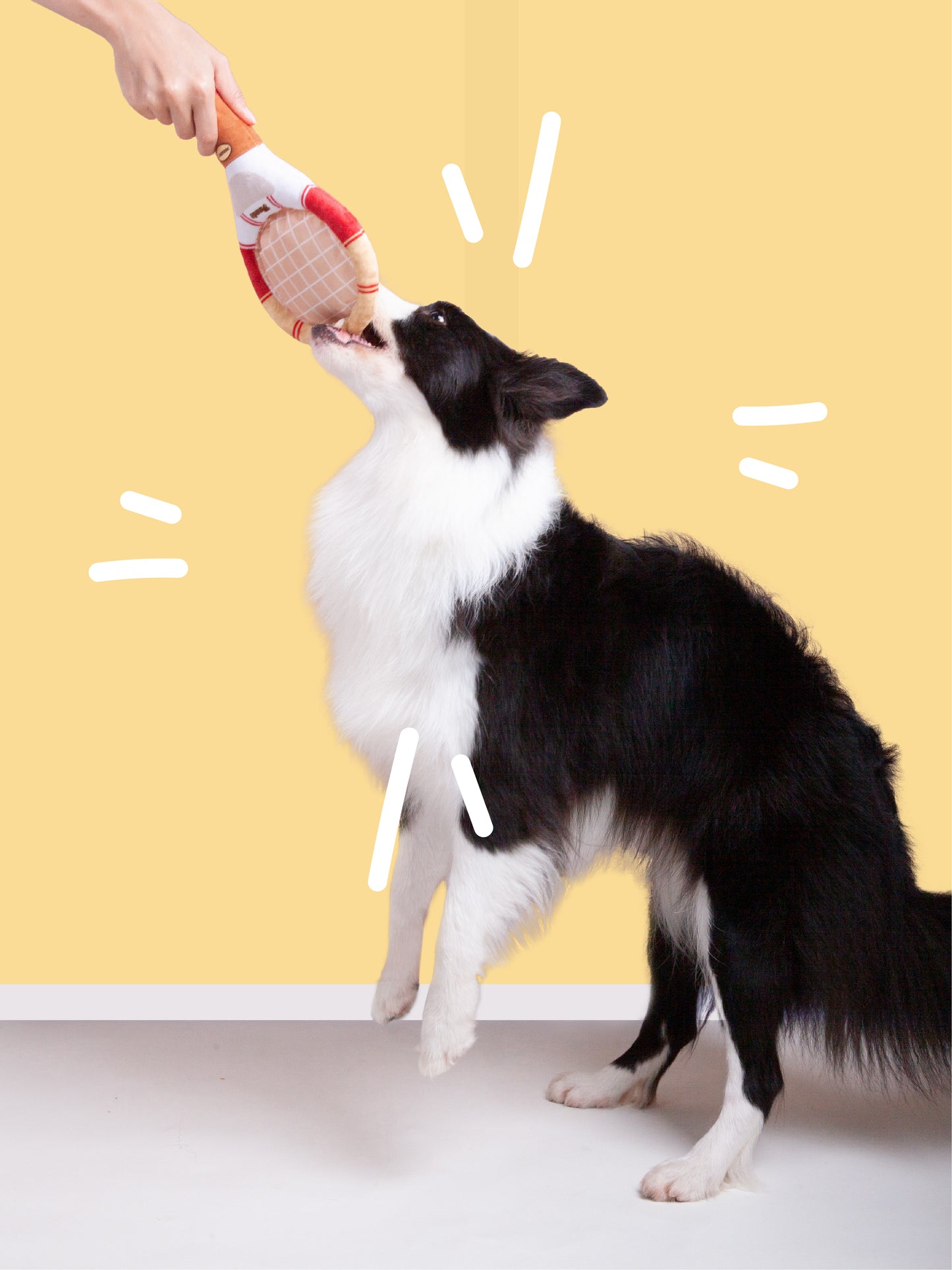 POOZPET - Tennis Racket Pet Toy