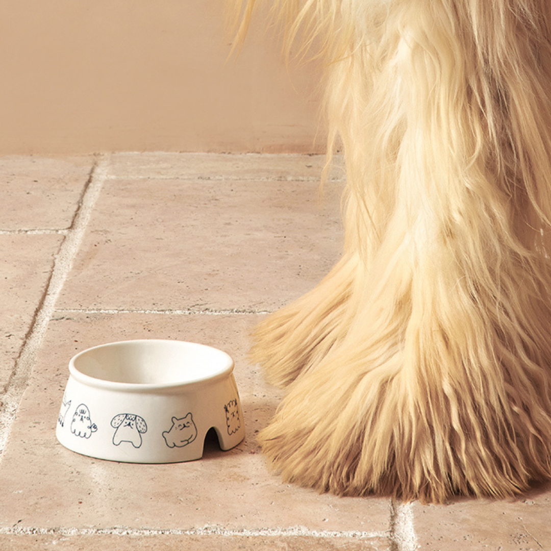 AMO PETRIC - Pet Ceramic Bowl