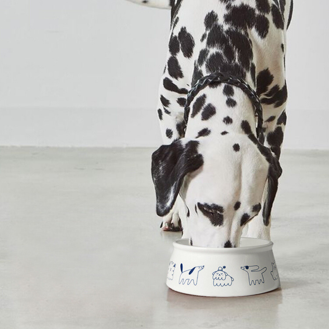 AMO PETRIC - Pet Ceramic Bowl