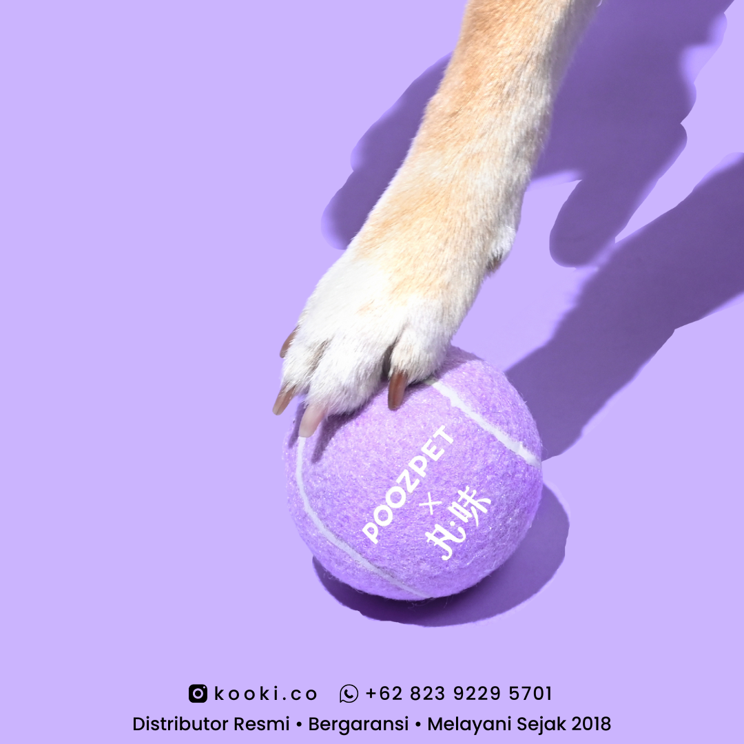 POOZPET Snuffle Toy - Cat & Dog Bag