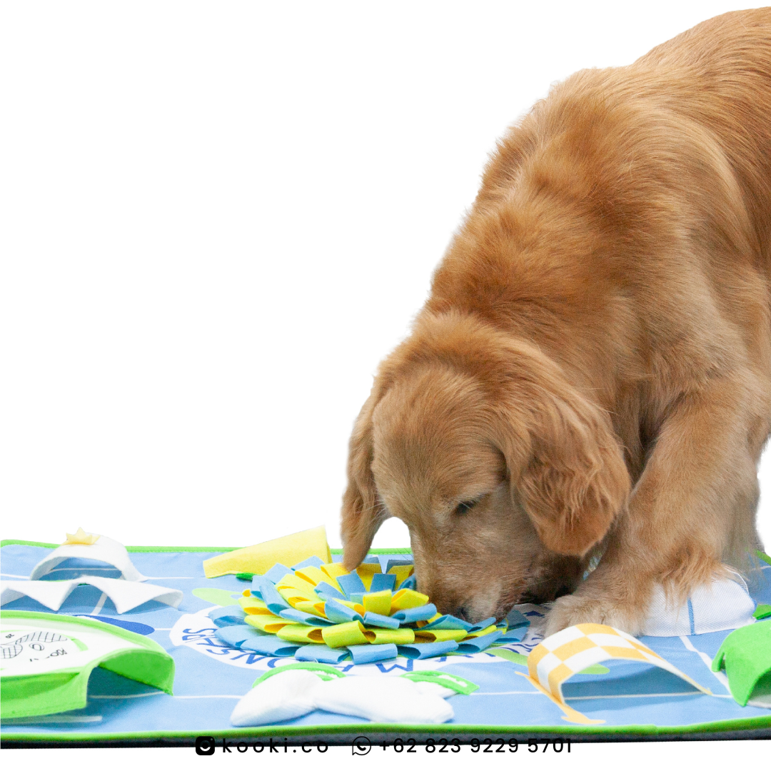 POOZPET - Tennis Ball Snuffle Mat
