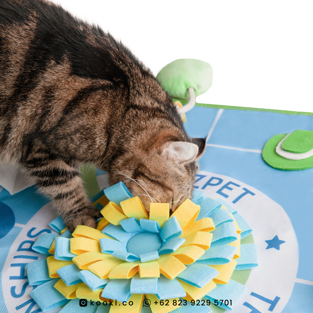 POOZPET - Tennis Ball Snuffle Mat