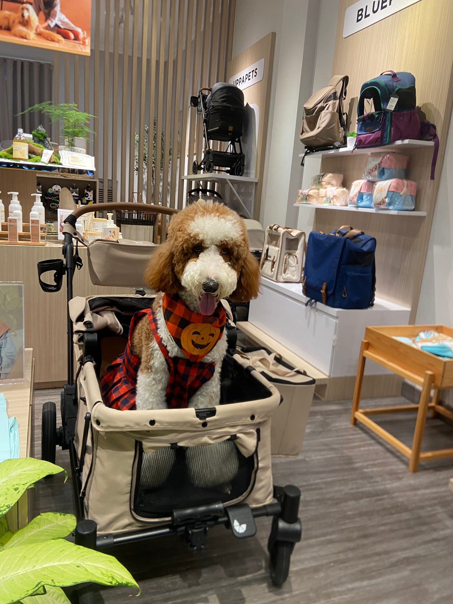 UPPAPETS Pet Stroller - CAMPER
