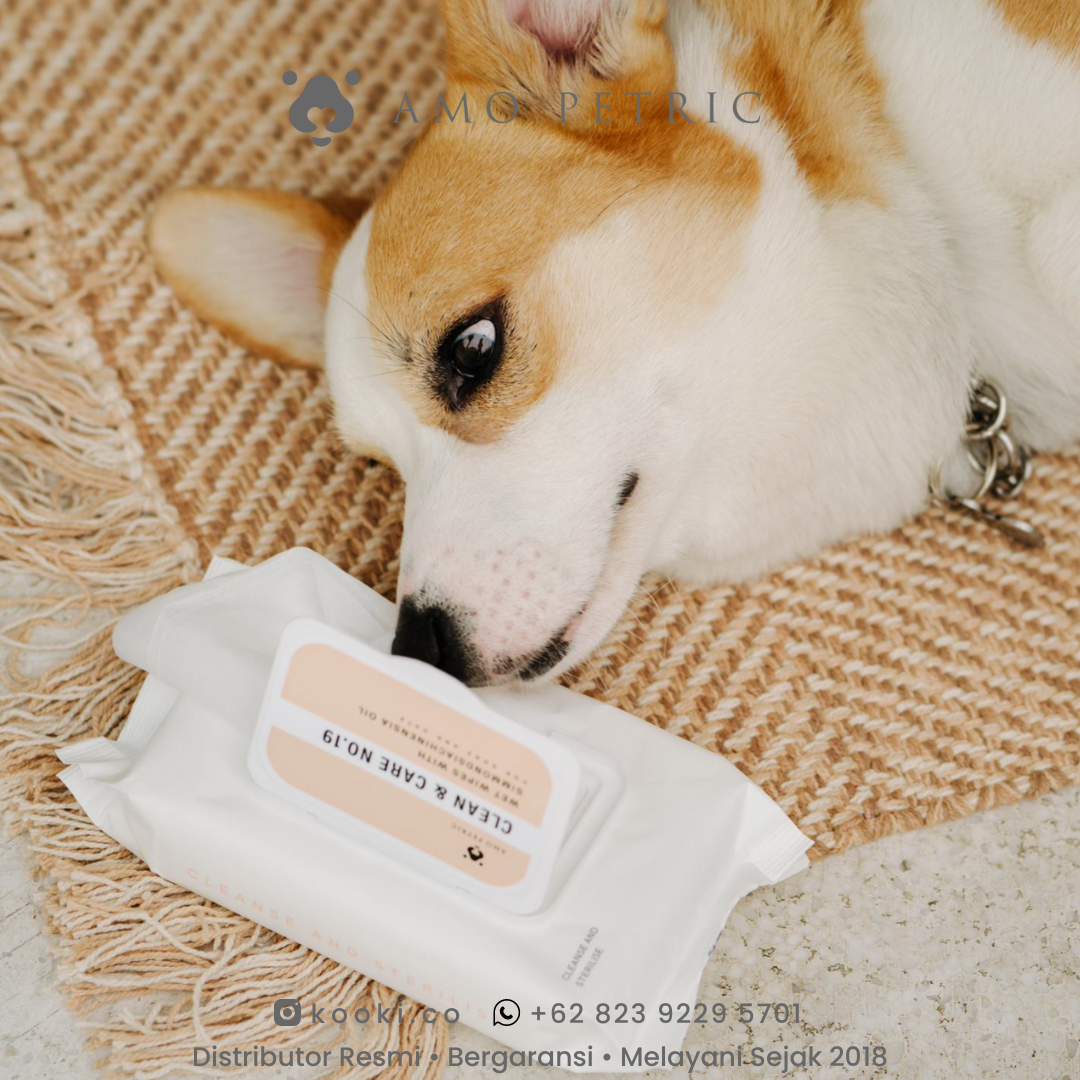 AMO PETRIC - Wet Wipes for Pets