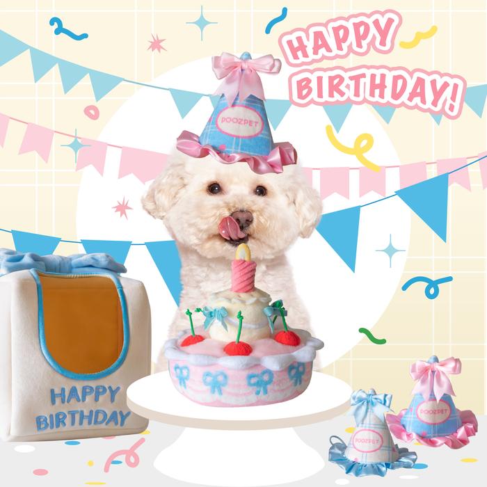 POOZPET - Birthday Cake Box Sniffing Game