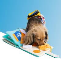 POOZPET Sniffing Game - Snuffle Toy 2