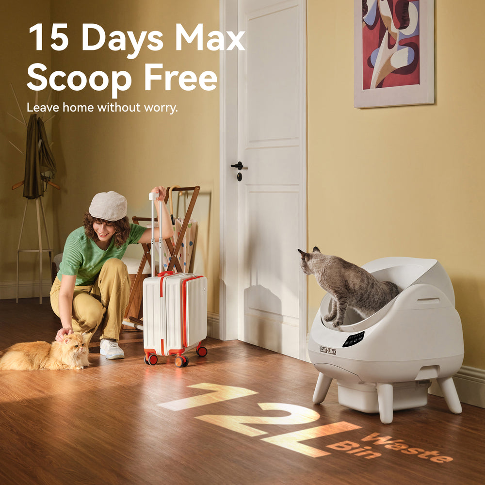 CATLINK -  Open X Automatic Cat Litter Box