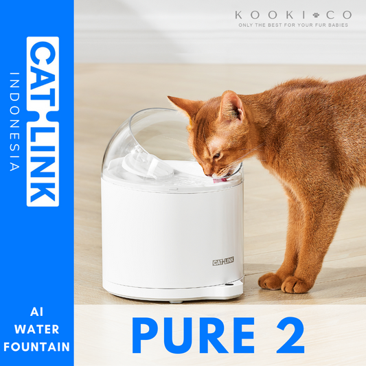 CATLINK - PURE 2 AI Water Fountain