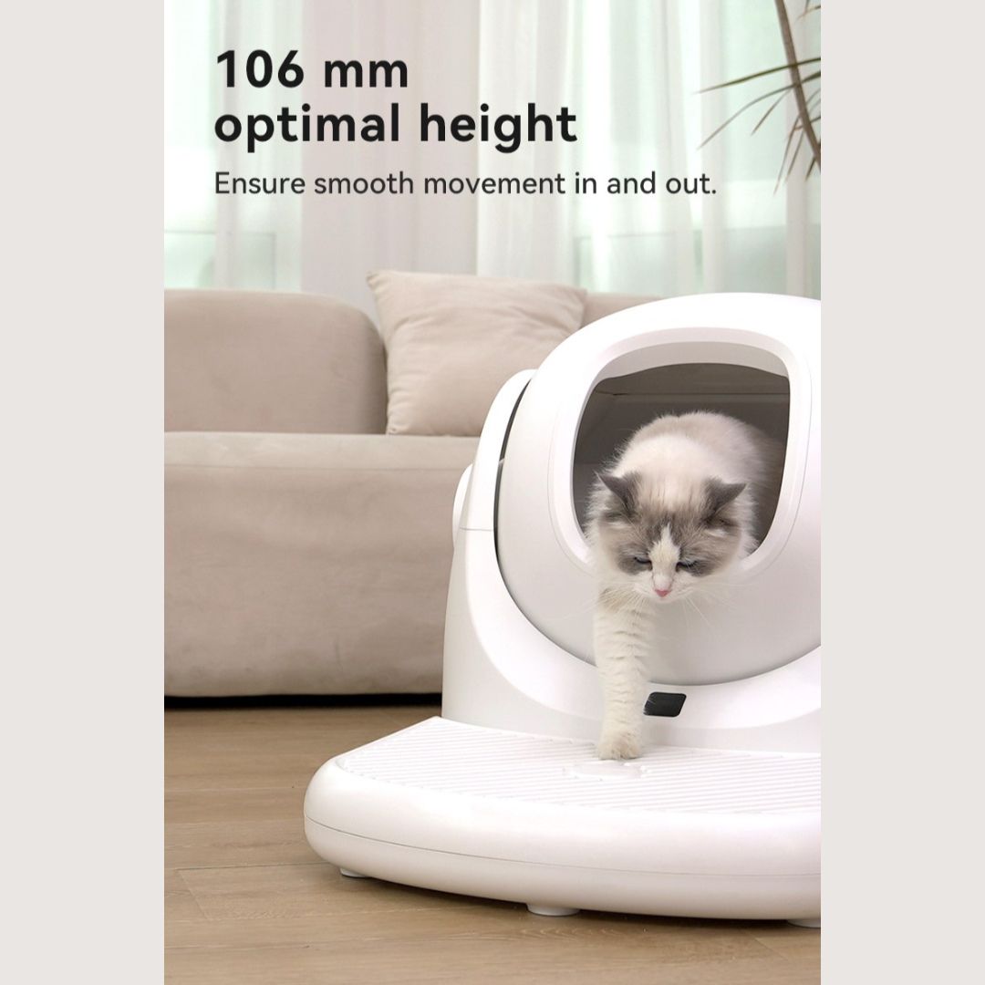 CATLINK - Stairway for BAYMAX