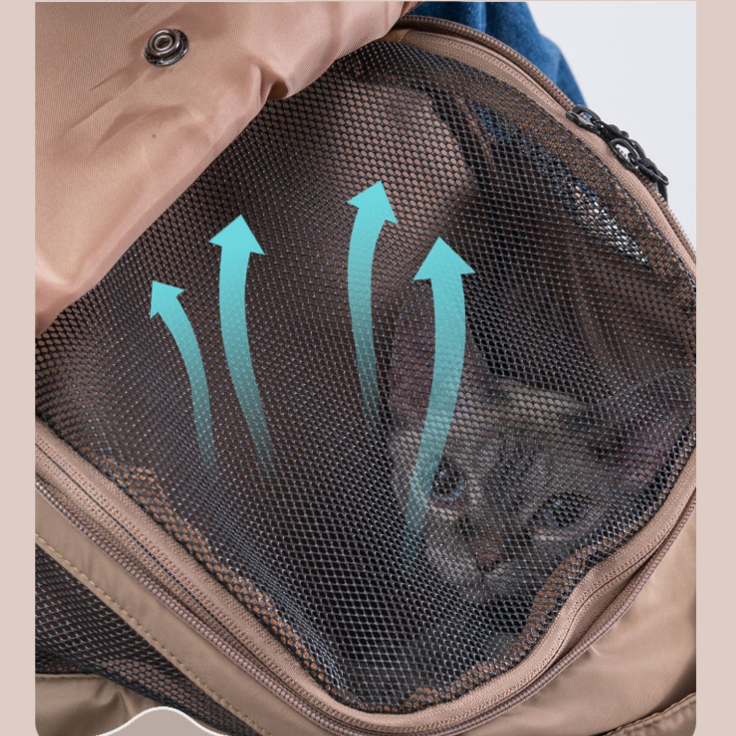 BluePort - Lightweight Pet Backpack