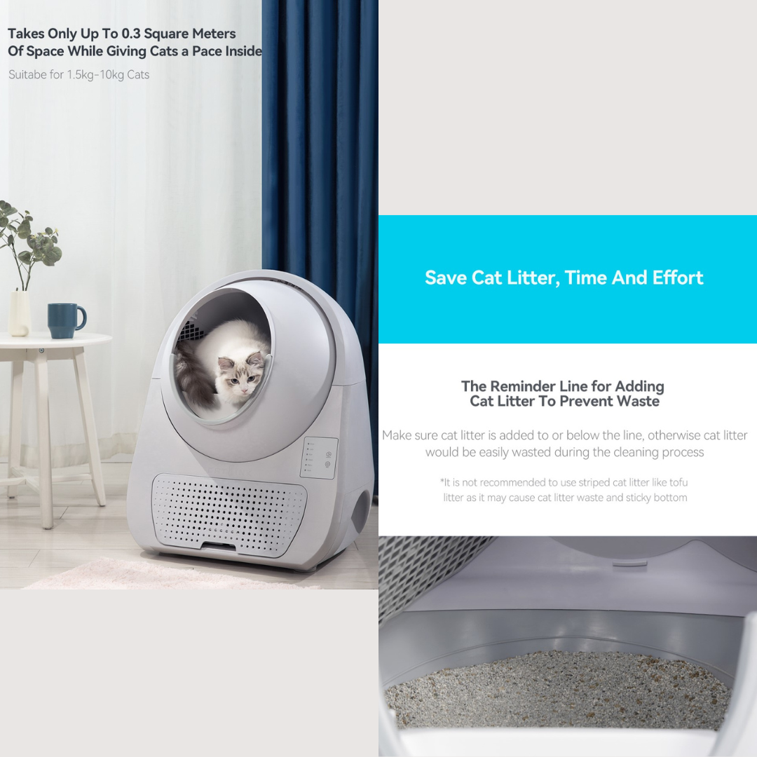 CATLINK - Scooper YOUNG AI Auto Cat Litter Box