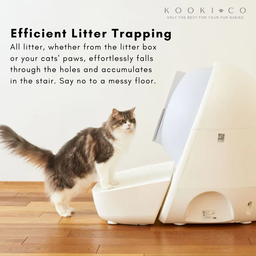 CATLINK - Stairway for Scooper PRO X & Young