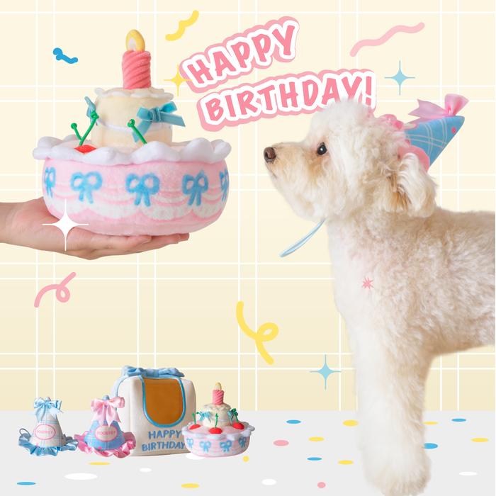 POOZPET - Birthday Cake Box Sniffing Game