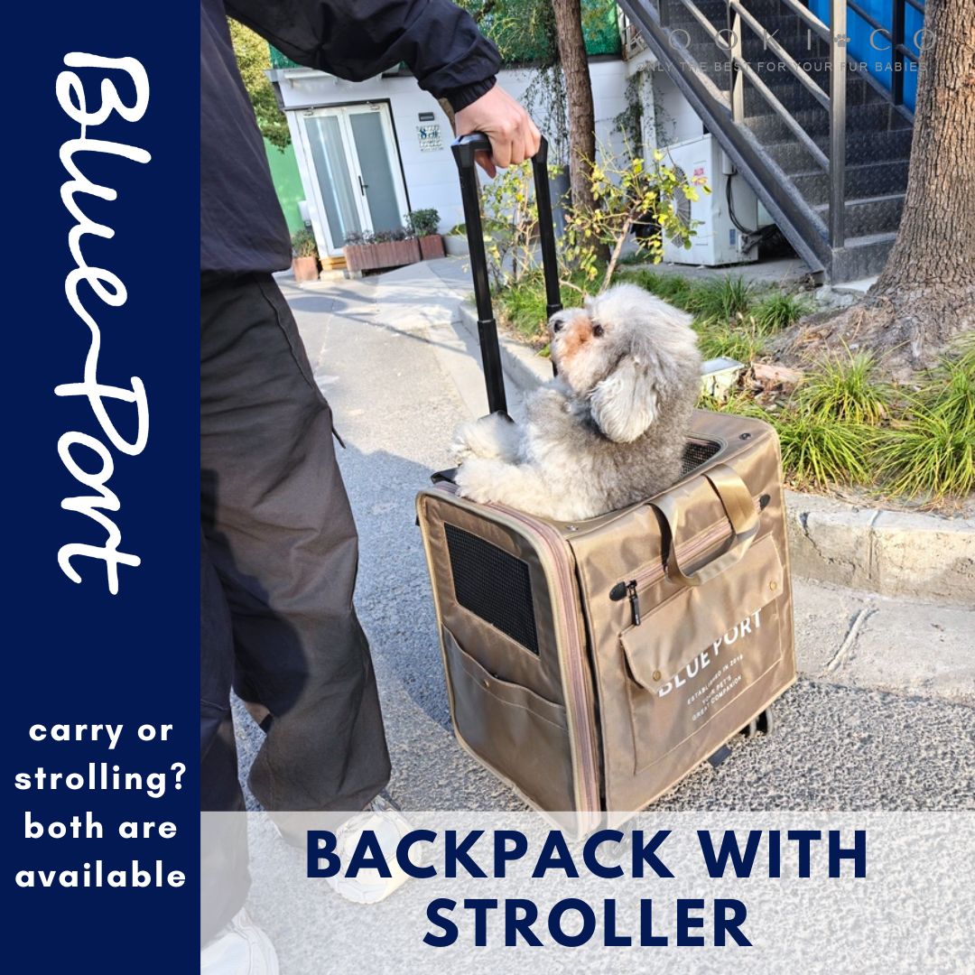 BLUEPORT - Backpack with Stroller